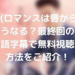 蝶の夢(ロマンスは唇から) の最後はどうなる？最終回の動画を日本語字幕で無料視聴する方法をご紹介！